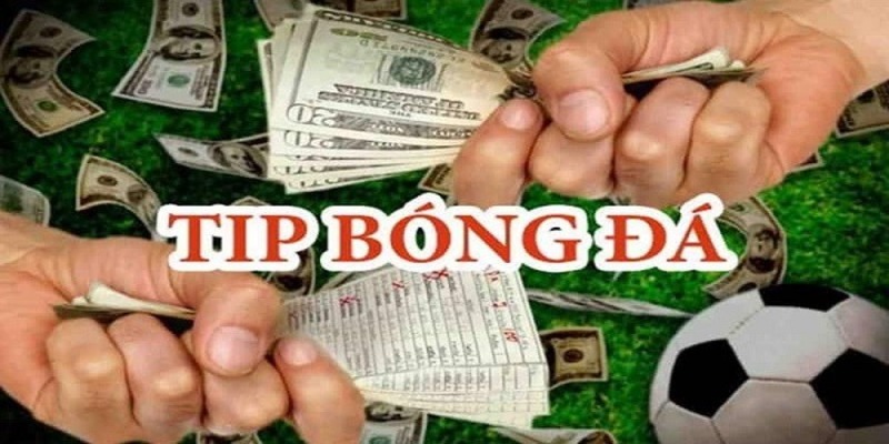 Dùng tips bóng đá 69VN có trả phí